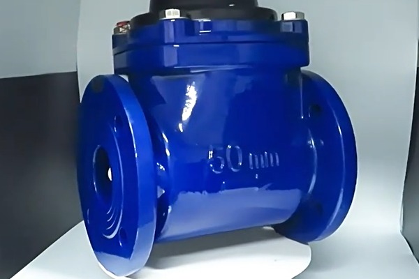 螺翼式水表的類(lèi)型、特點(diǎn)及技術(shù)規(guī)格解析
